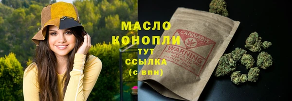 тгк Абаза