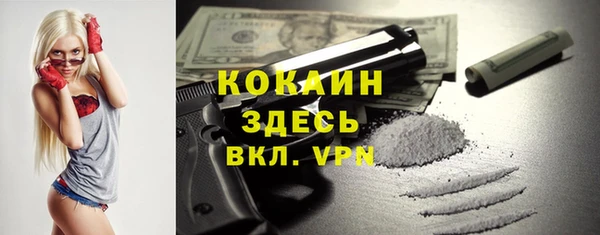 тгк Абаза